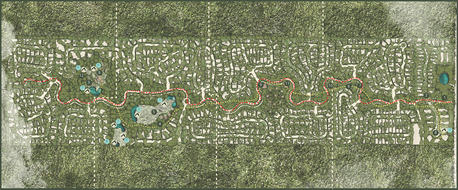 Selvadentro Master Plan